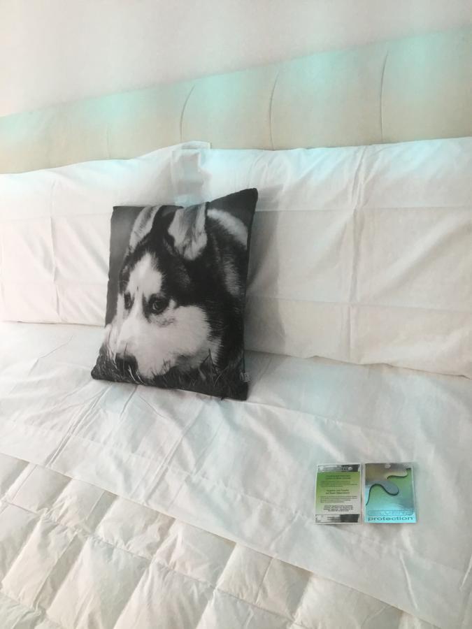 White Dream Suites Iasi Luaran gambar